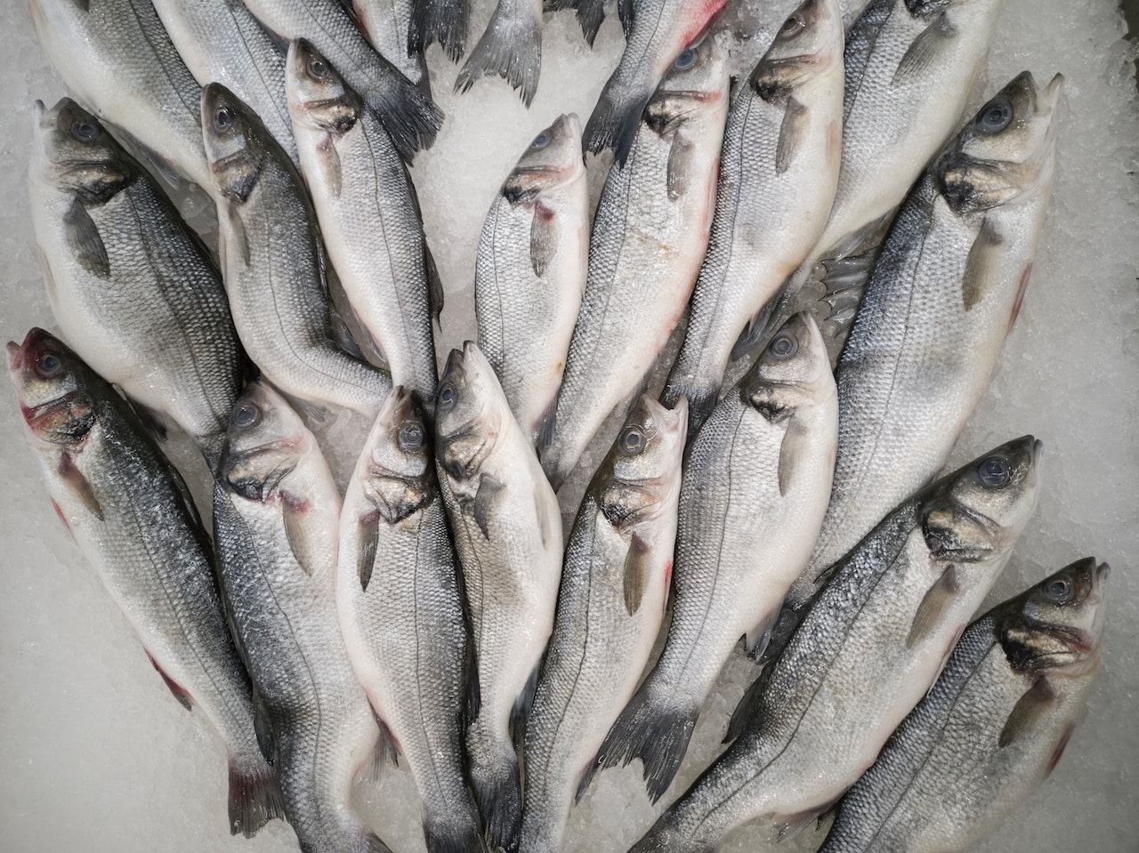 Ouvrir une poissonnerie