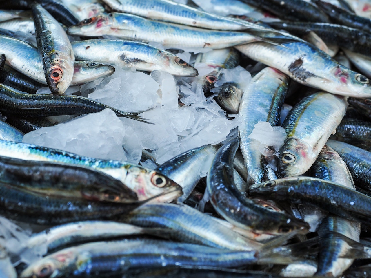 Ouvrir une poissonnerie