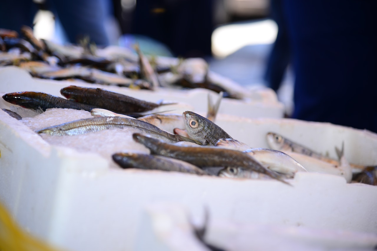 Comment ouvrir une poissonnerie ?
