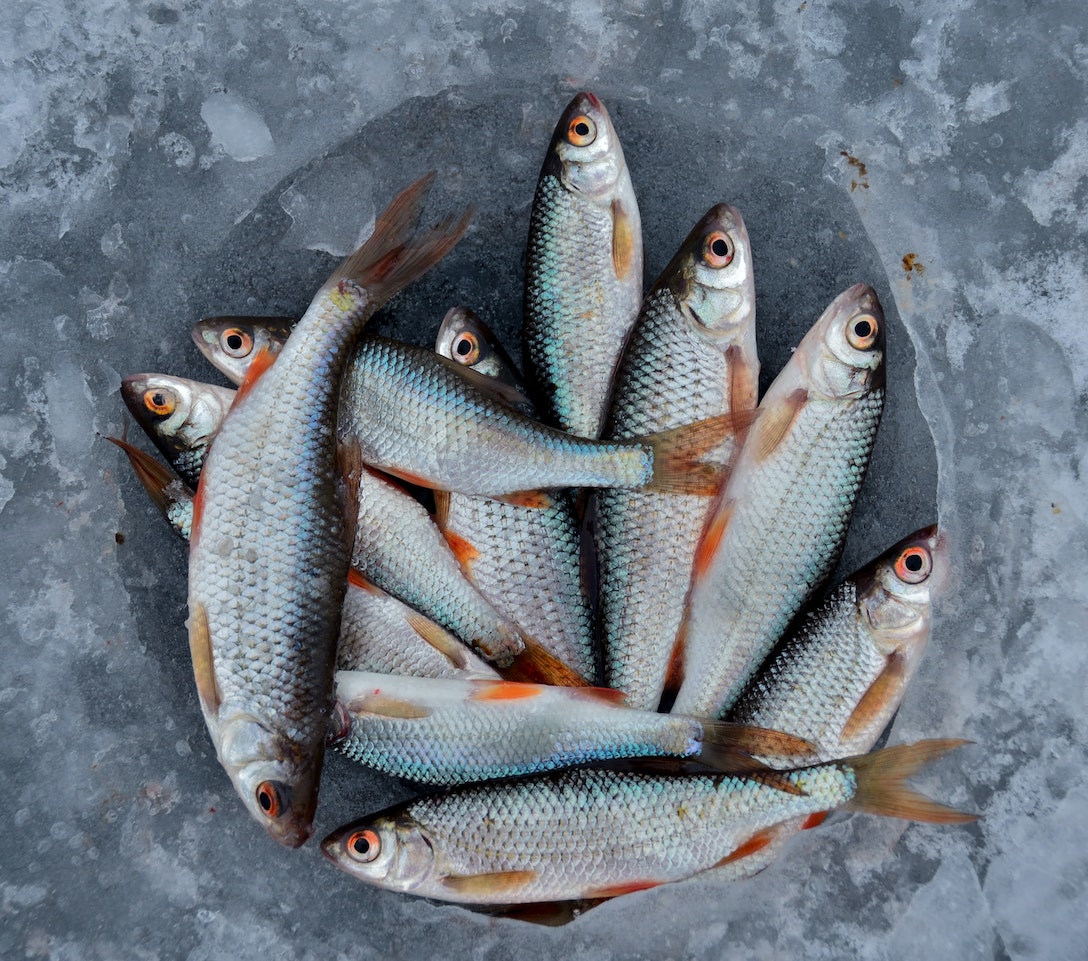 Le métier de poissonnier(ère) est à la fois artisanal et professionnel