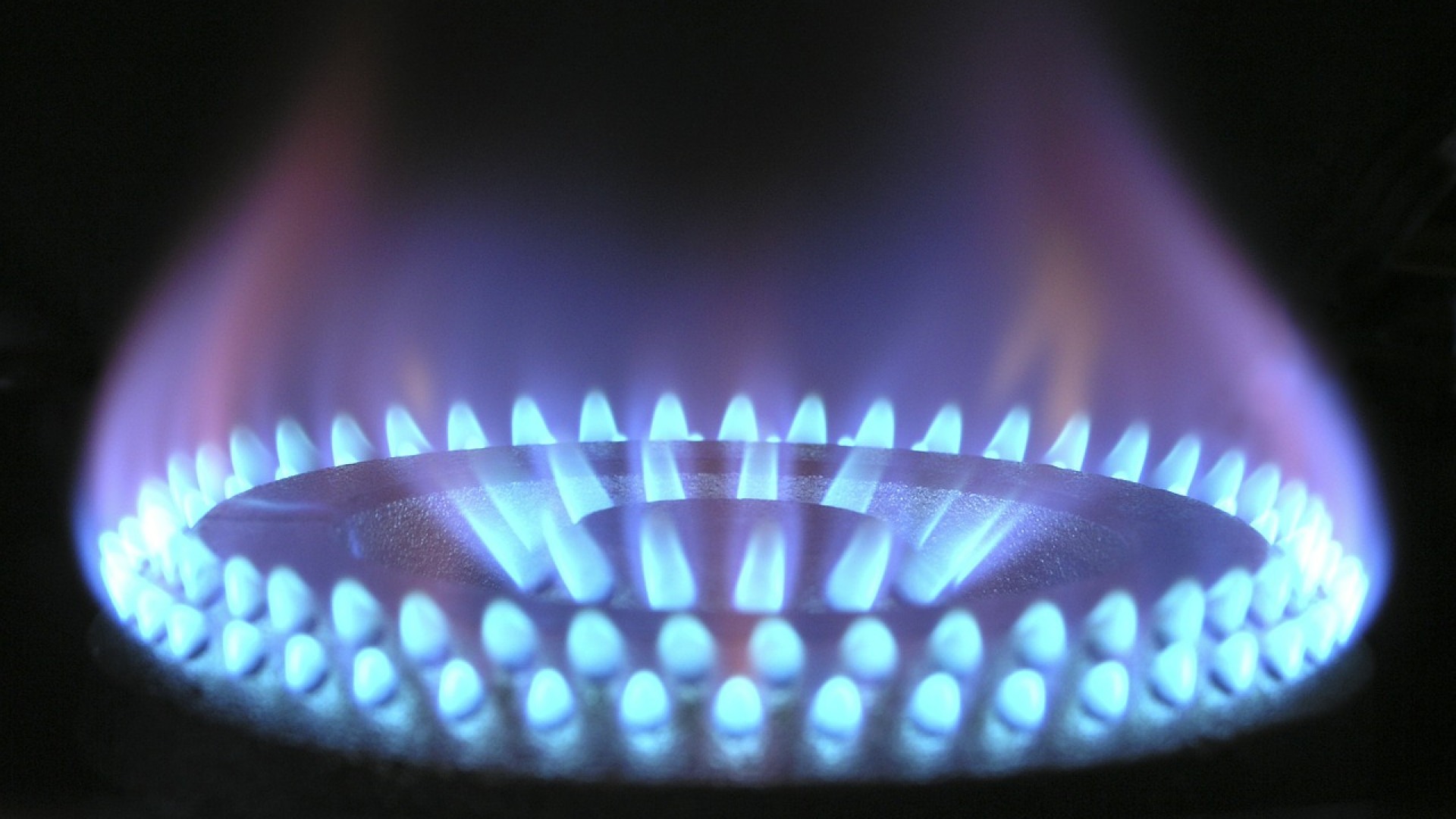 Découvrez ce fournisseur de gaz dédié aux entreprises !