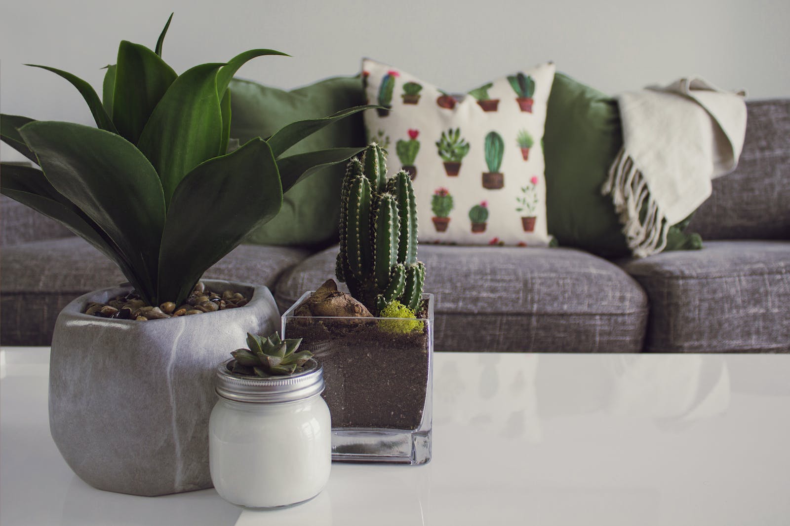 Quels sont les différents types de couverture pour son assurance habitation ?