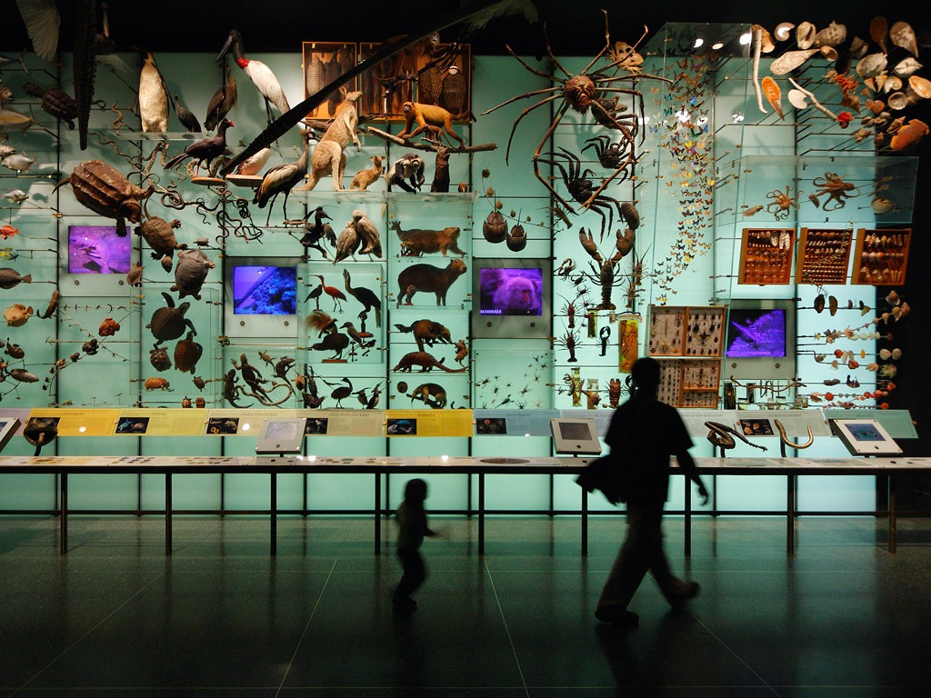 Biodiversité
