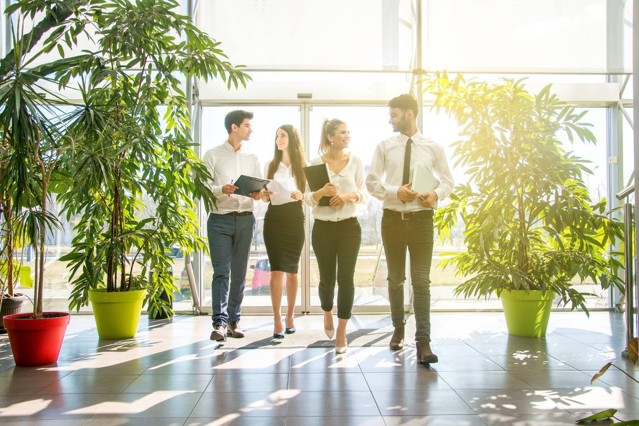 durabilité écologie entreprise